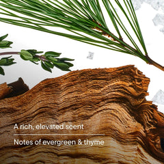 Redwood Deodorant | 48 HR Odor Control